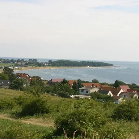 Seeschwalbe In Sirene, Binz