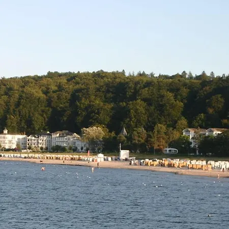 Seeschwalbe In Sirene, *