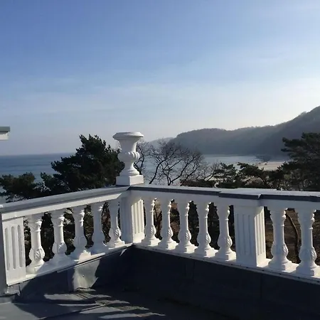 Seeschwalbe In Sirene, * Binz