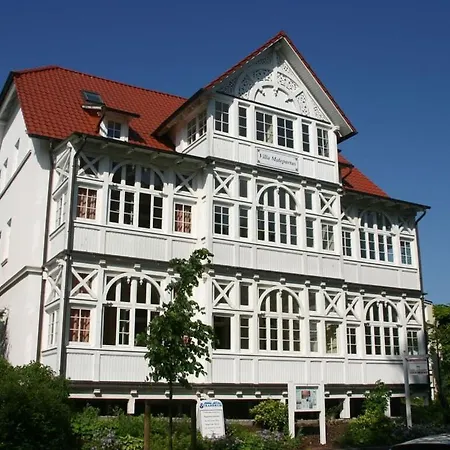 Seeschwalbe In Sirene,